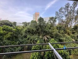 Blk 13 Dover Heights (Queenstown), HDB 5 Rooms #601301941